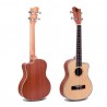 UKULELE GRAPE-V GUC 350C 24" CONCERT SAPELE F.