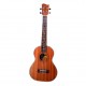 UKULELE GRAPE -V GKC 60 24" CONCERT ZEBRANO F.